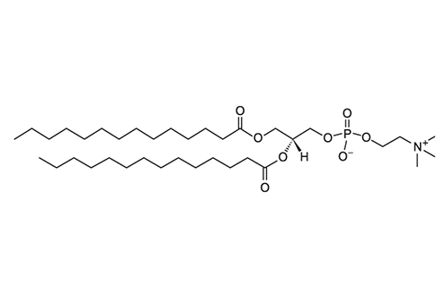1,2-Dimyristoyl-sn-glycero-3-phosphocholine(for injection) DMPC