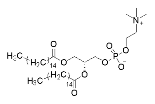 1,2-Dipalmitoyl-sn-glycero-3-phosphocholine(DPPC)