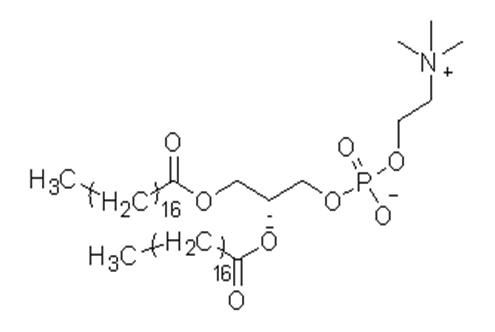1,2 Distearoyl SN Glycero 3 Phosphocholine DSPC
