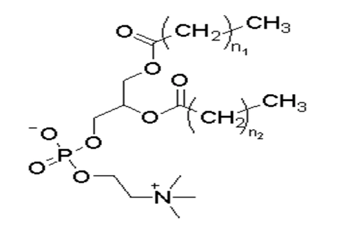 hspc hydrogenated soy phosphatidylcholine