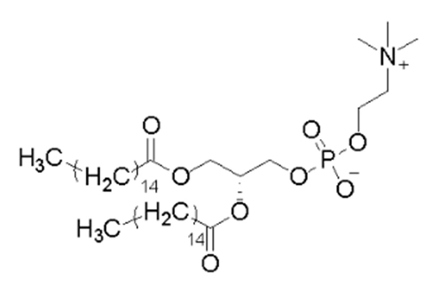 L-alpha-Dipalmitoyl phosphatidylcholine(for injection) DPPC