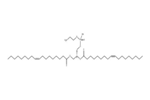 1,2-Dioleoyl-sn-glycero-3-phosphoethanolamine DOPE