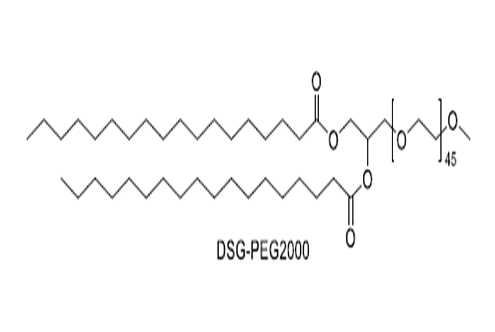 1,2-Distearoyl-rac-glycerol-3-methoxypolyethylene glycol 2000(DSG-PEG2000)