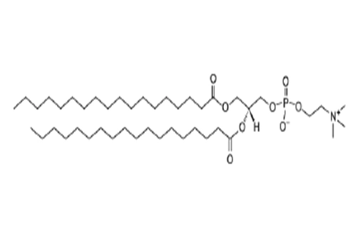 1,2-Distearoyl-sn-glycero-3-phosphorylcholine (for injection) DSPC